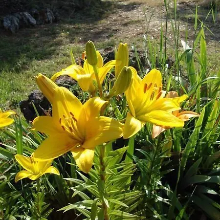 Farm stay Tre Madonne *
