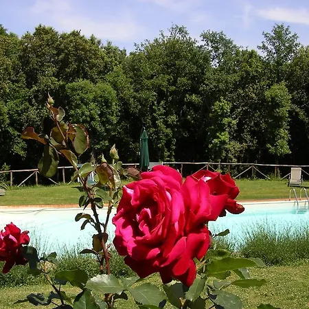 Tre Madonne *