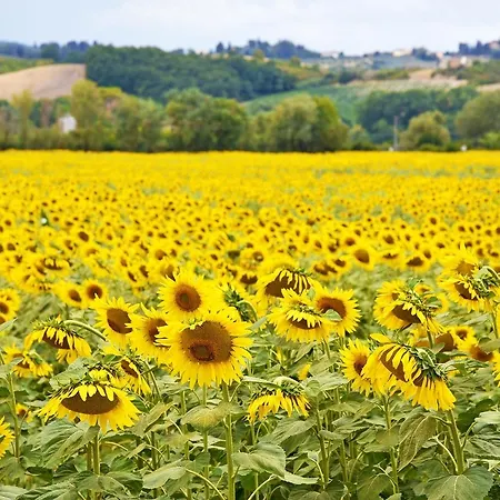 Tre Madonne Monteriggioni