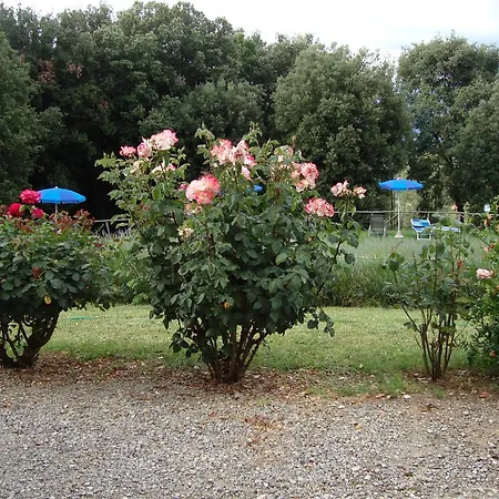 Gospodarstwo agroturystyczne Tre Madonne Monteriggioni